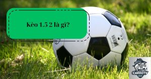 Kèo 1.5 2 là gì